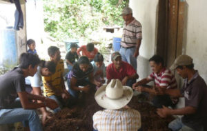 3. Métodos agrícolas artesanales para mitigar y prevenir desastres