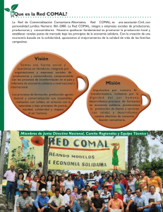 Informe Anual Red COMAL 2011