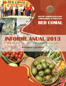 Informe Anual Red COMAL 2013