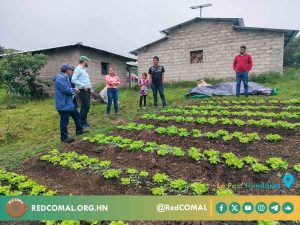 12 2024 11 14 Visita a El Pelón y La Estanzuela