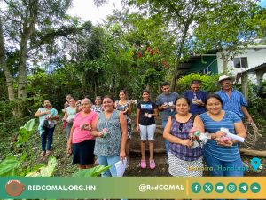 24 2024 11 01 Establecimiento Huertos Familiares